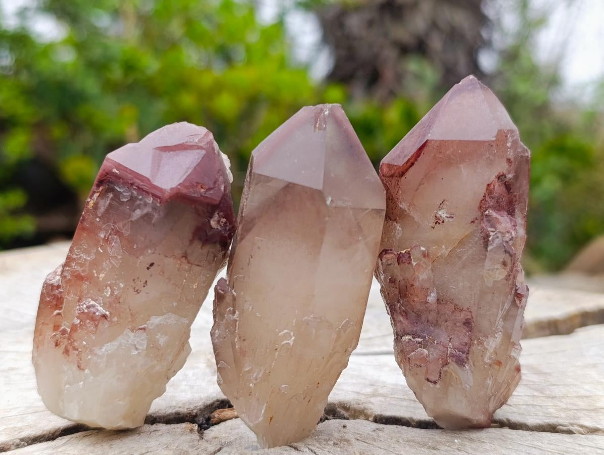 Natural Red Hematoid Quartz Crystals x 24 From Karoi, Zimbabwe
