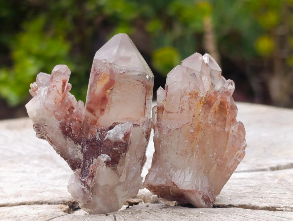 Natural Red Hematoid Quartz Crystals x 24 From Karoi, Zimbabwe