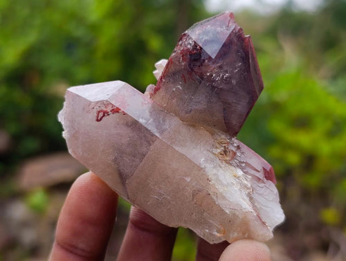Natural Red Hematoid Quartz Crystals x 24 From Karoi, Zimbabwe