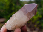 Natural Red Hematoid Quartz Crystals x 24 From Karoi, Zimbabwe