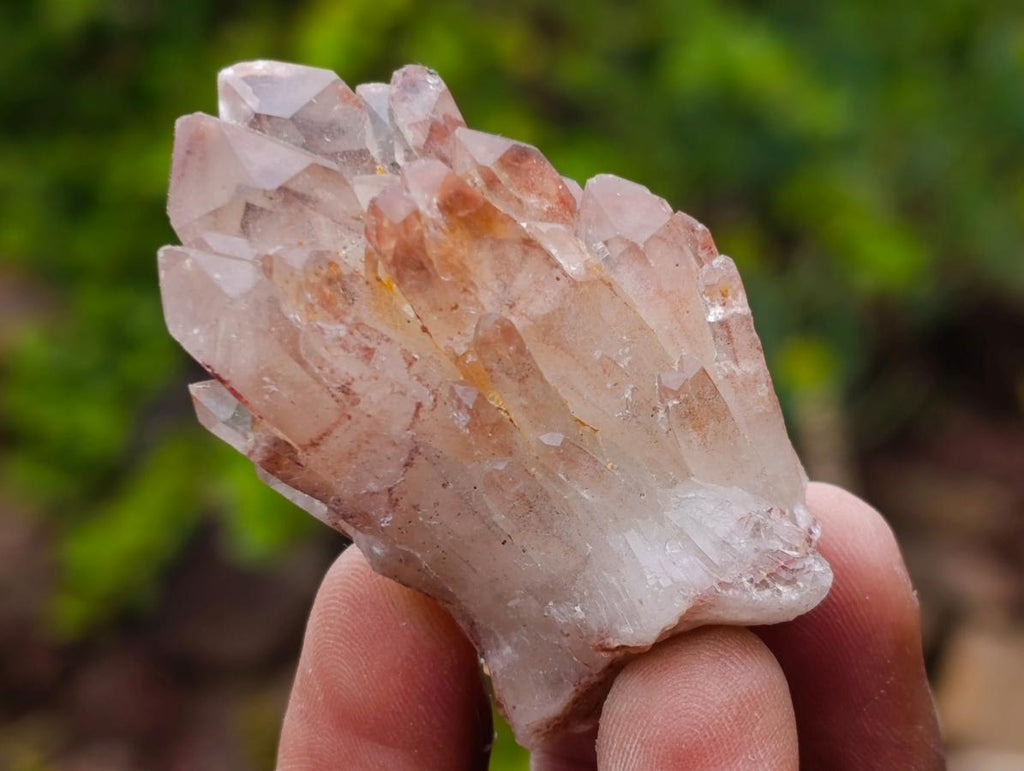 Natural Red Hematoid Quartz Crystals x 24 From Karoi, Zimbabwe