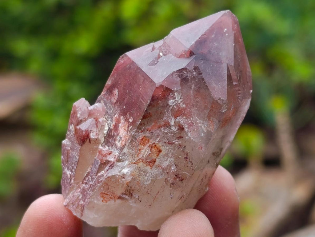 Natural Red Hematoid Quartz Crystals x 24 From Karoi, Zimbabwe