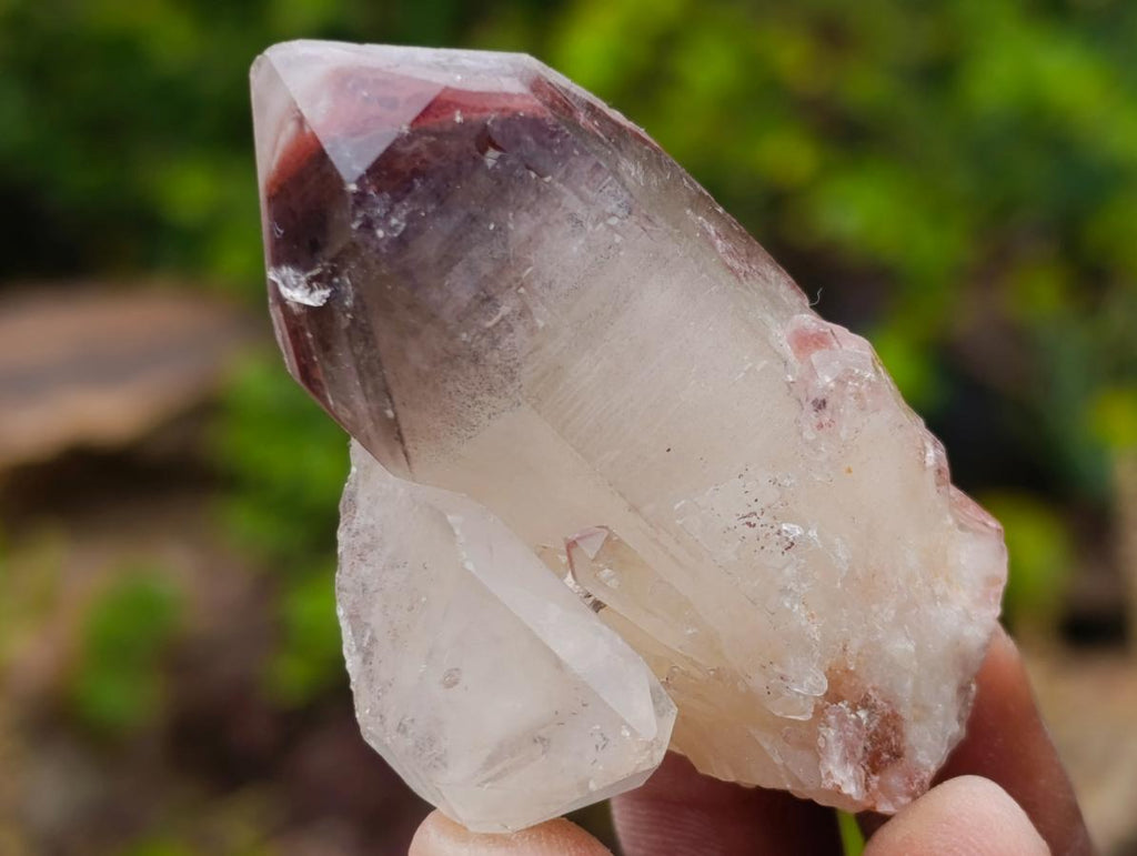 Natural Red Hematoid Quartz Crystals x 24 From Karoi, Zimbabwe
