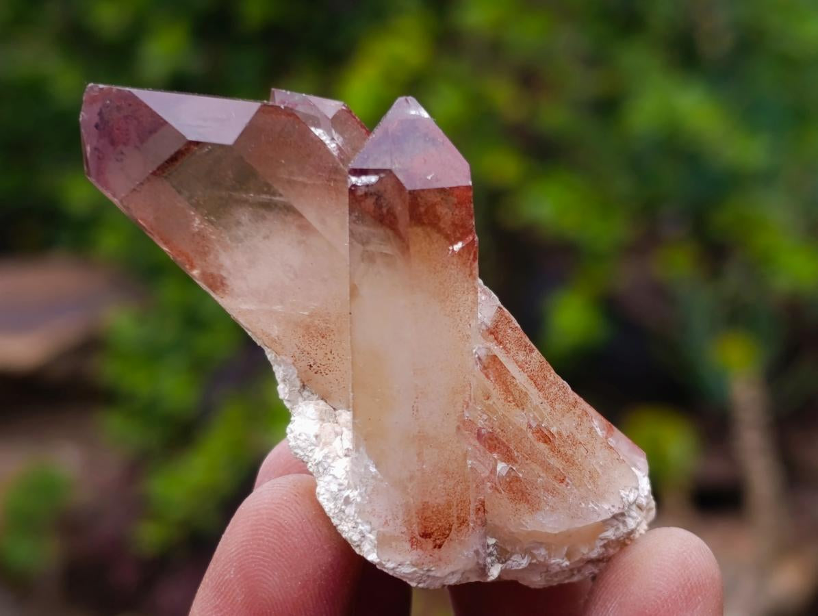 Natural Red Hematoid Quartz Crystals x 24 From Karoi, Zimbabwe