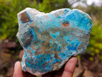 Polished One Side Shattuckite Slices x 8 From Kaokoveld, Namibia