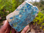 Polished One Side Shattuckite Slices x 8 From Kaokoveld, Namibia