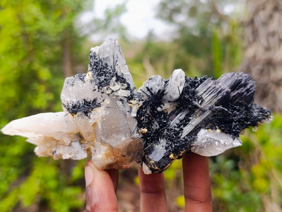 Natural Smokey Quartz Crystals with Schorl Black Tourmaline x 3 From Erongo, Namibia