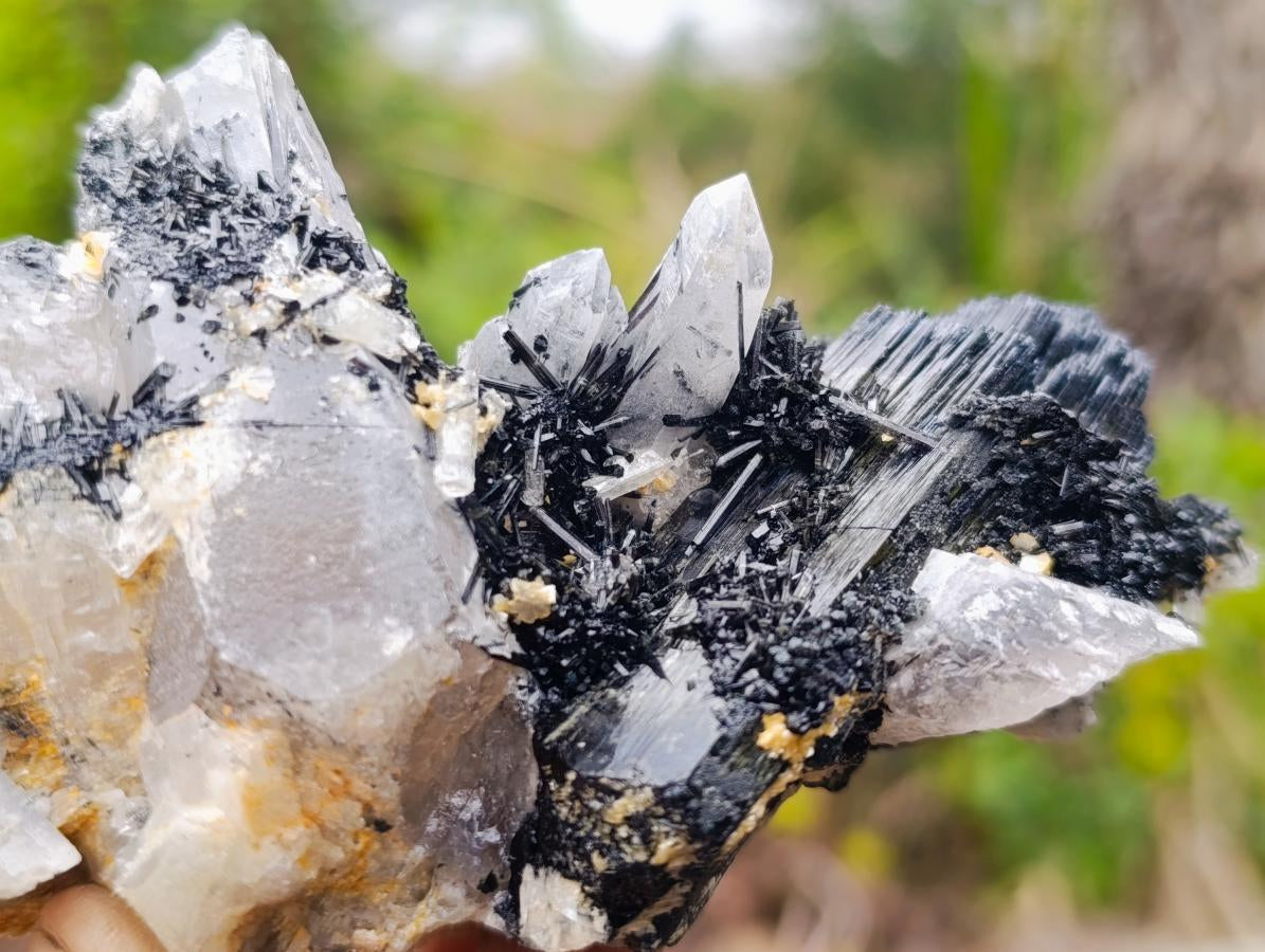 Natural Smokey Quartz Crystals with Schorl Black Tourmaline x 3 From Erongo, Namibia