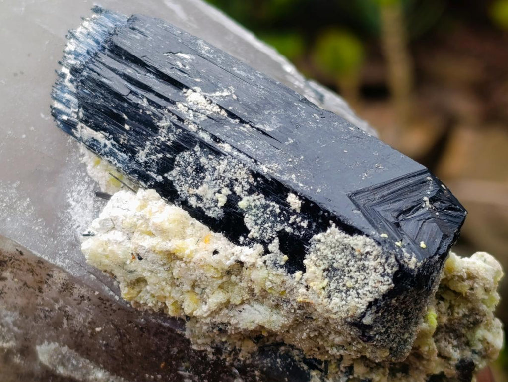 Natural Smokey Quartz Crystals with Schorl Black Tourmaline x 3 From Erongo, Namibia