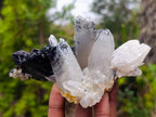Natural Smokey Quartz Crystals with Schorl Black Tourmaline x 3 From Erongo, Namibia