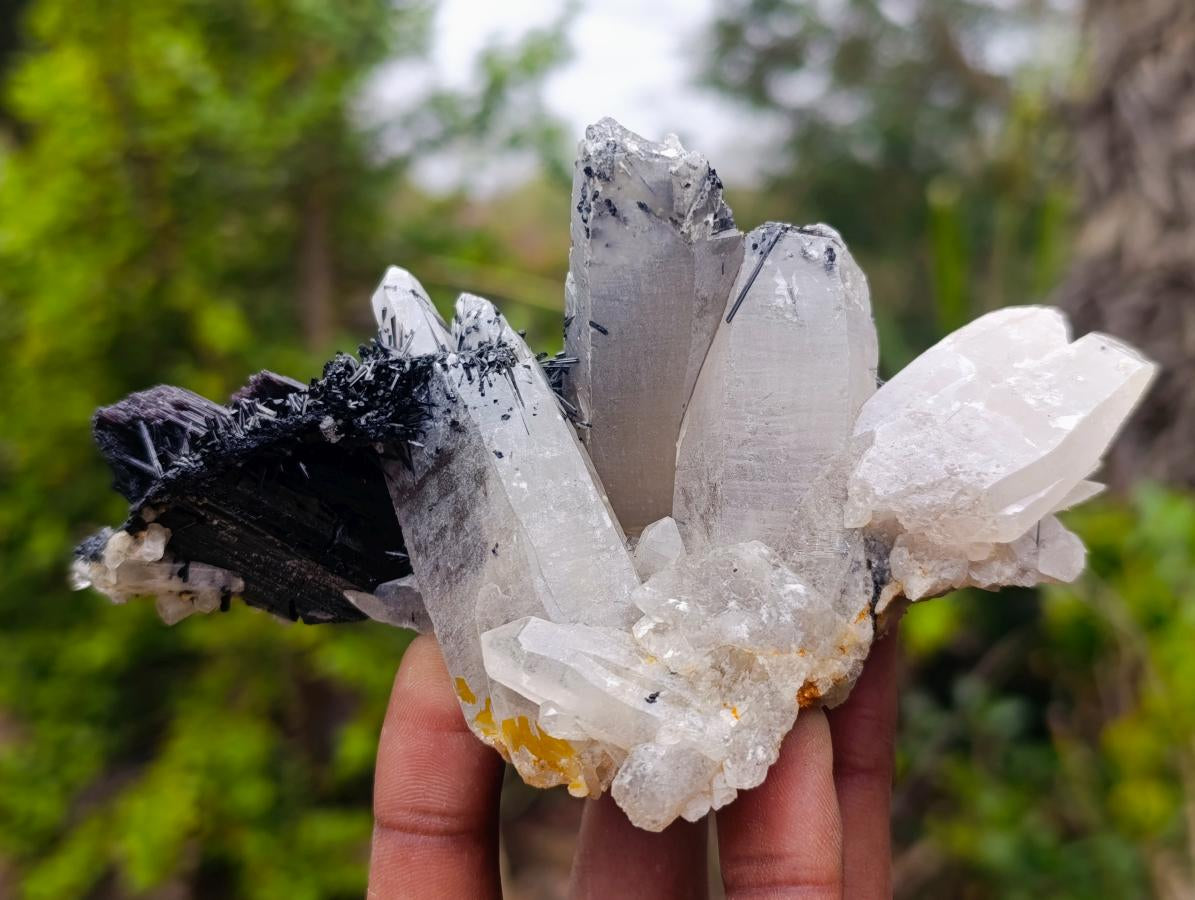 Natural Smokey Quartz Crystals with Schorl Black Tourmaline x 3 From Erongo, Namibia