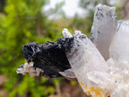 Natural Smokey Quartz Crystals with Schorl Black Tourmaline x 3 From Erongo, Namibia