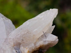 Natural Smokey Quartz Crystals with Schorl Black Tourmaline x 3 From Erongo, Namibia
