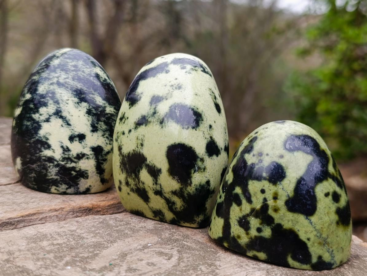 Polished Small Leopard Stone Standing Display Pieces x 12 From Zimbabwe