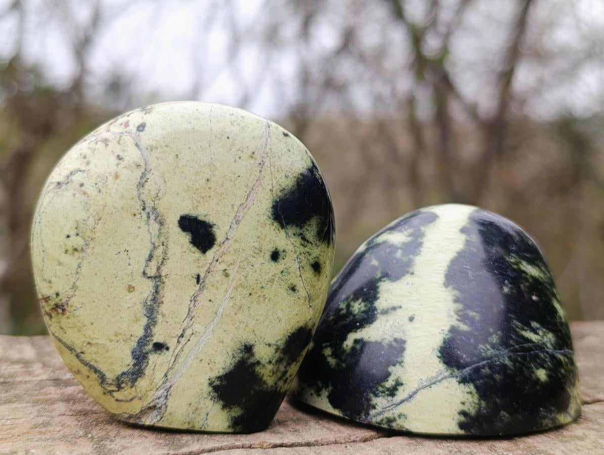 Polished Small Leopard Stone Standing Display Pieces x 12 From Zimbabwe