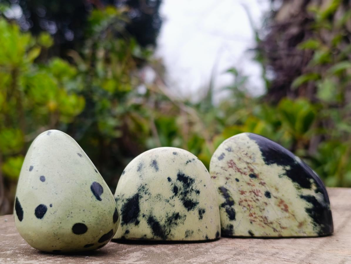 Polished Small Leopard Stone Standing Display Pieces x 12 From Zimbabwe