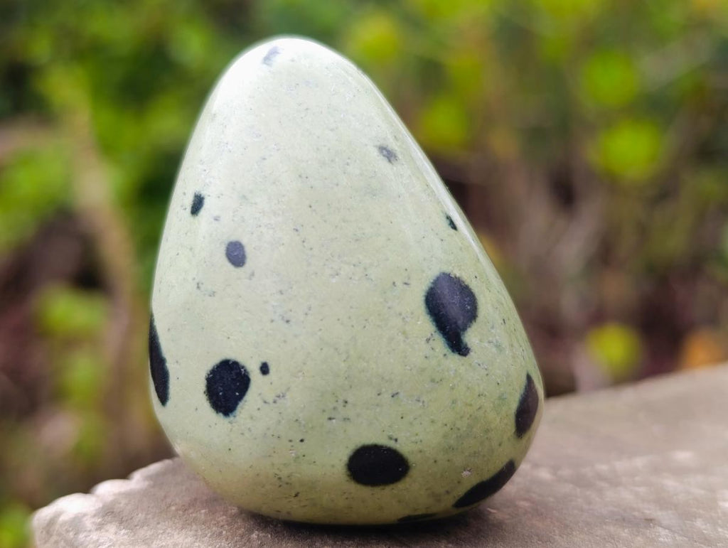 Polished Small Leopard Stone Standing Display Pieces x 12 From Zimbabwe