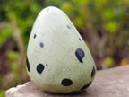 Polished Small Leopard Stone Standing Display Pieces x 12 From Zimbabwe
