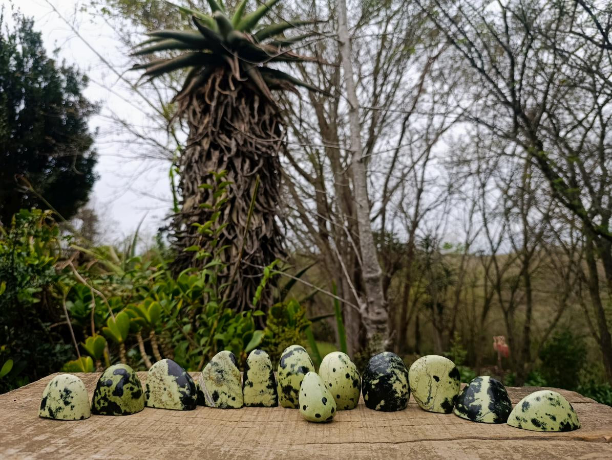 Polished Small Leopard Stone Standing Display Pieces x 12 From Zimbabwe