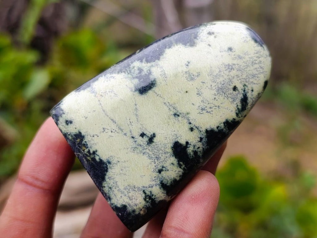 Polished Small Leopard Stone Standing Display Pieces x 12 From Zimbabwe