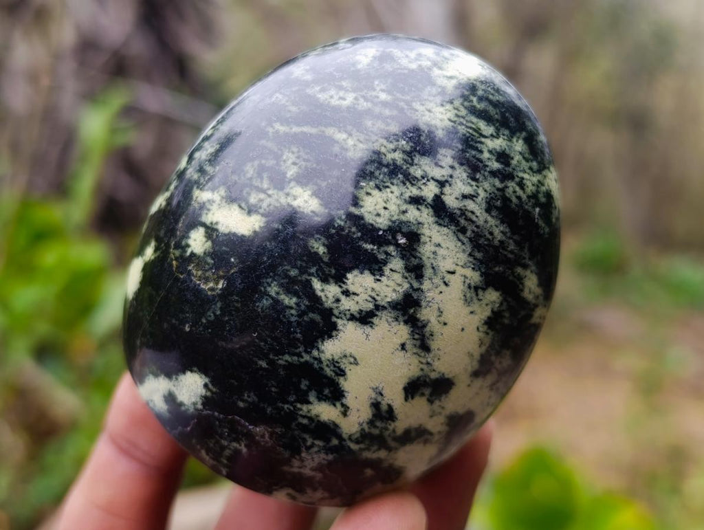Polished Small Leopard Stone Standing Display Pieces x 12 From Zimbabwe