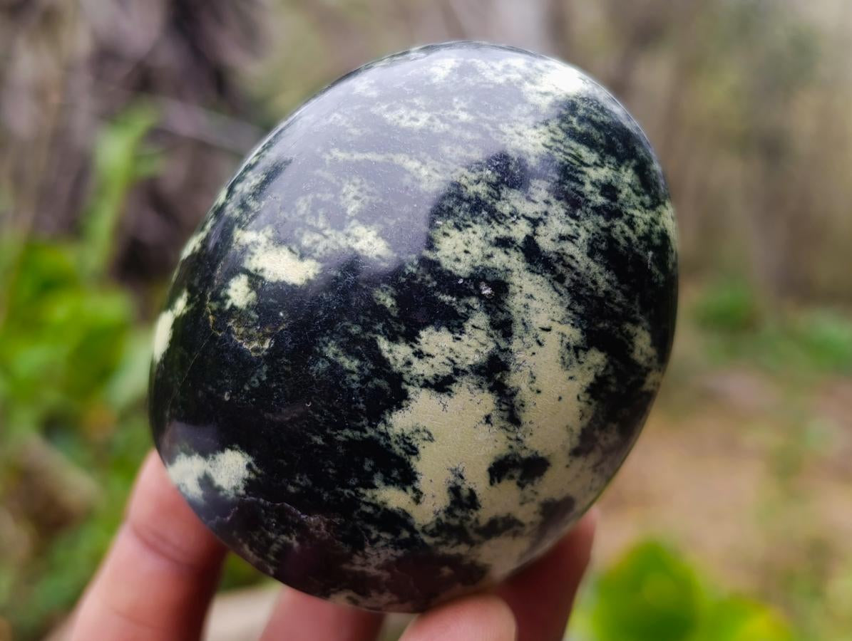 Polished Small Leopard Stone Standing Display Pieces x 12 From Zimbabwe