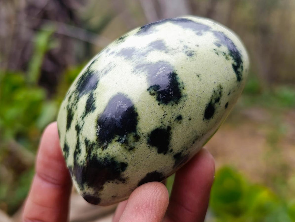 Polished Small Leopard Stone Standing Display Pieces x 12 From Zimbabwe