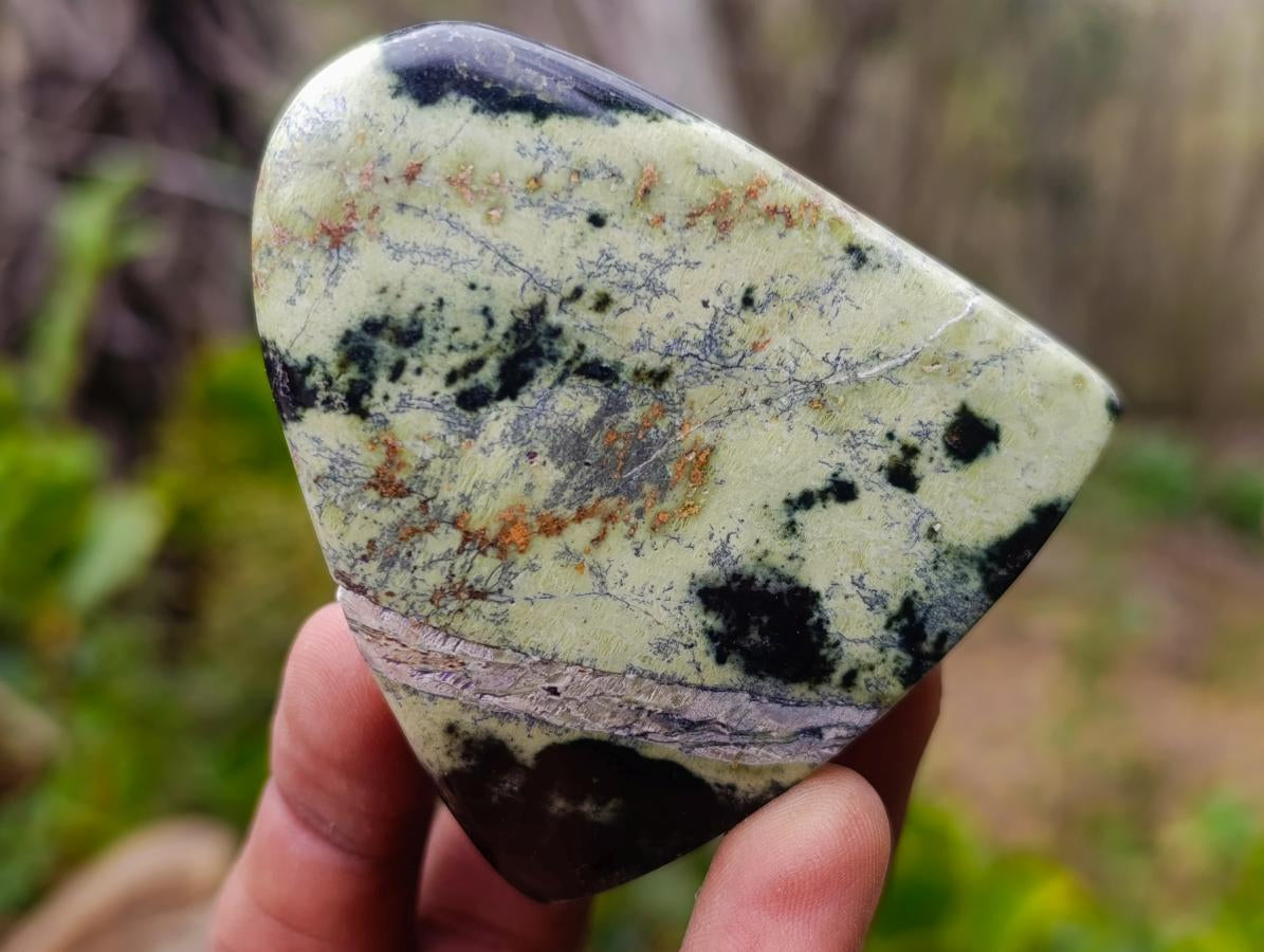 Polished Small Leopard Stone Standing Display Pieces x 12 From Zimbabwe