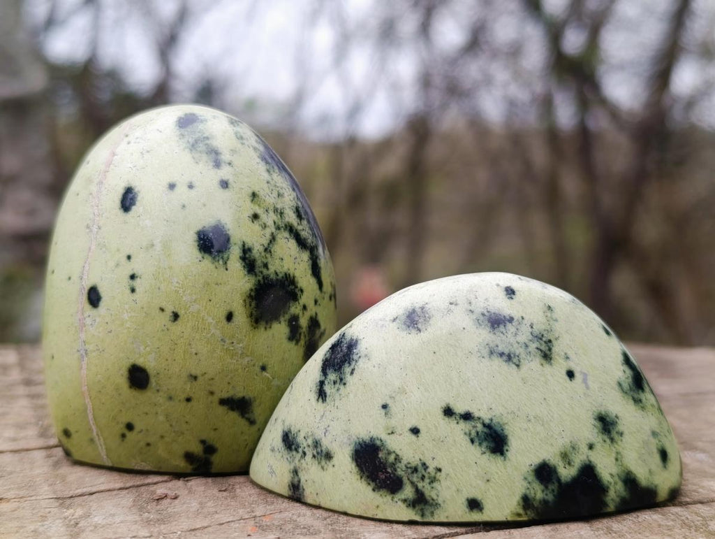 Polished Small Leopard Stone Standing Display Pieces x 12 From Zimbabwe