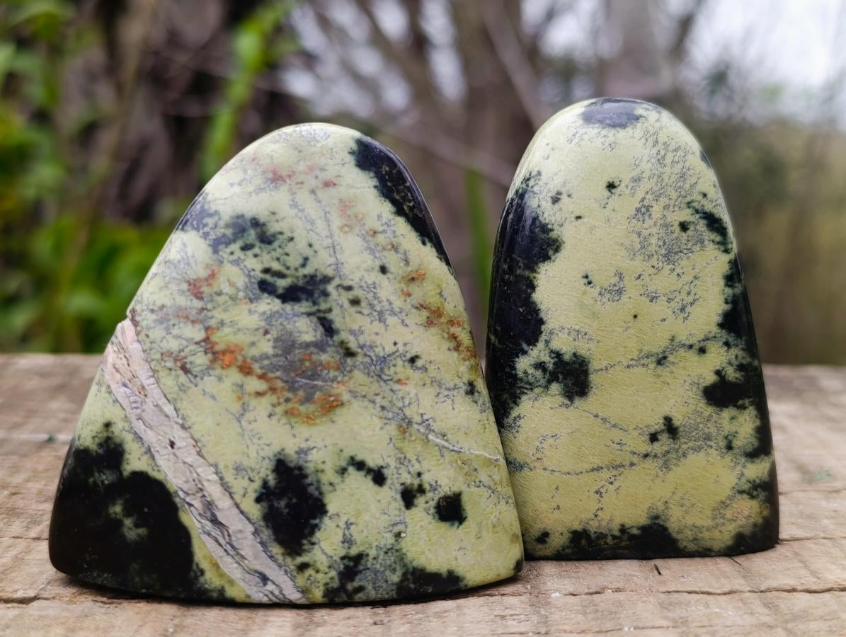 Polished Small Leopard Stone Standing Display Pieces x 12 From Zimbabwe