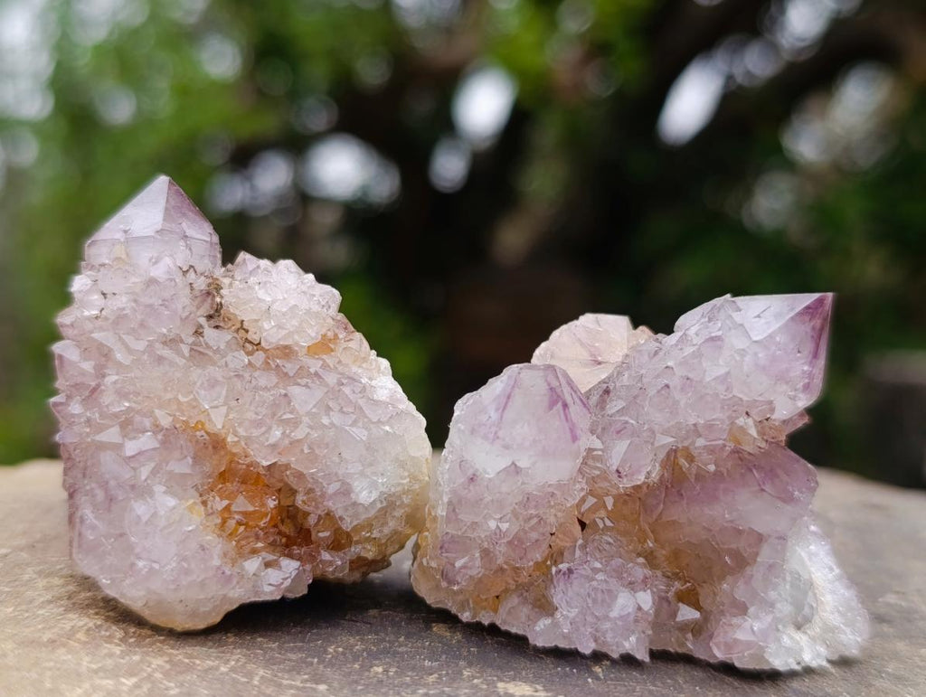 Natural Spirit Amethyst Clusters x 12 From Boekenhouthoek, South Africa
