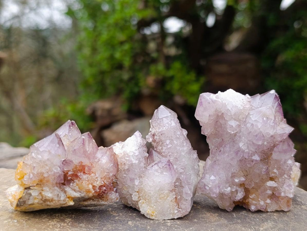 Natural Spirit Amethyst Clusters x 12 From Boekenhouthoek, South Africa