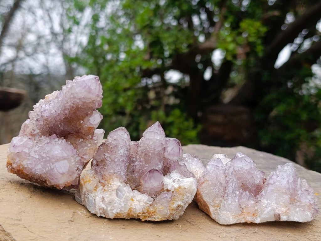 Natural Spirit Amethyst Clusters x 12 From Boekenhouthoek, South Africa