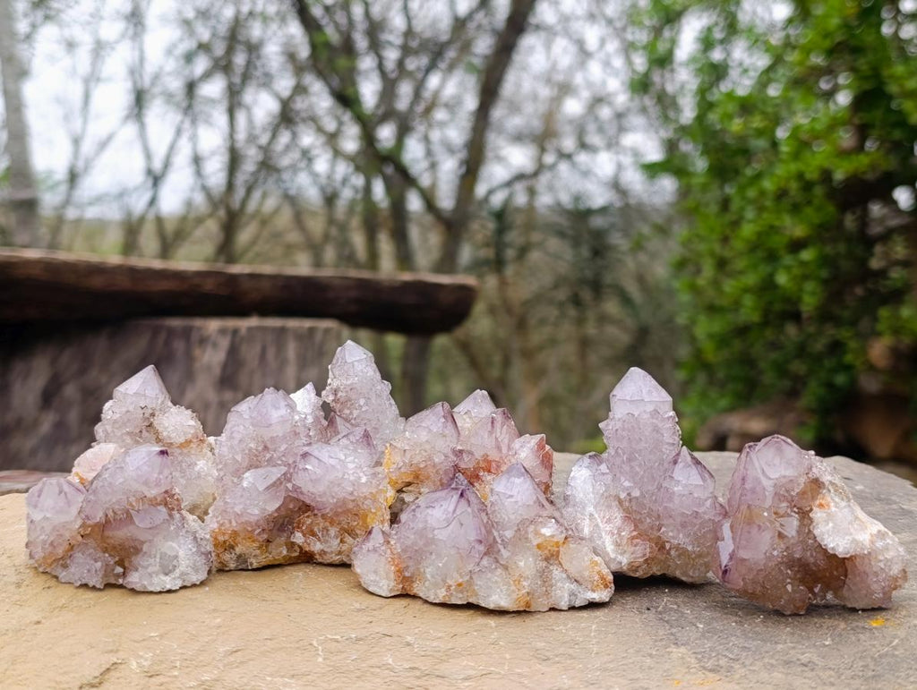 Natural Spirit Amethyst Clusters x 12 From Boekenhouthoek, South Africa