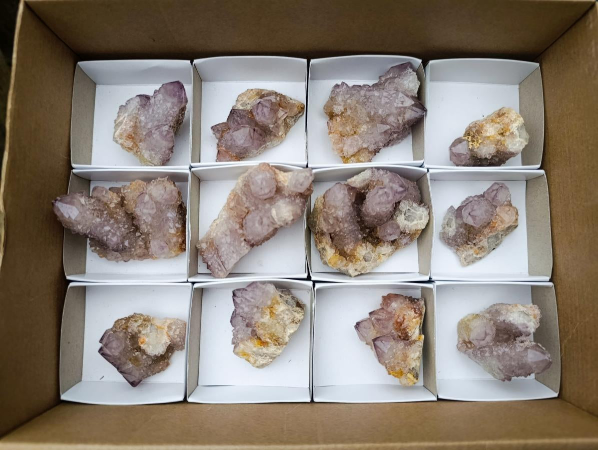 Natural Spirit Amethyst Clusters x 12 From Boekenhouthoek, South Africa
