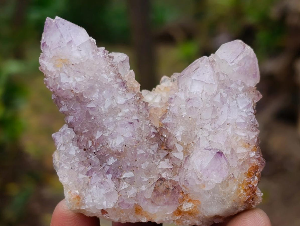 Natural Spirit Amethyst Clusters x 12 From Boekenhouthoek, South Africa