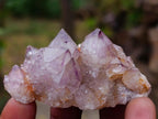 Natural Spirit Amethyst Clusters x 12 From Boekenhouthoek, South Africa