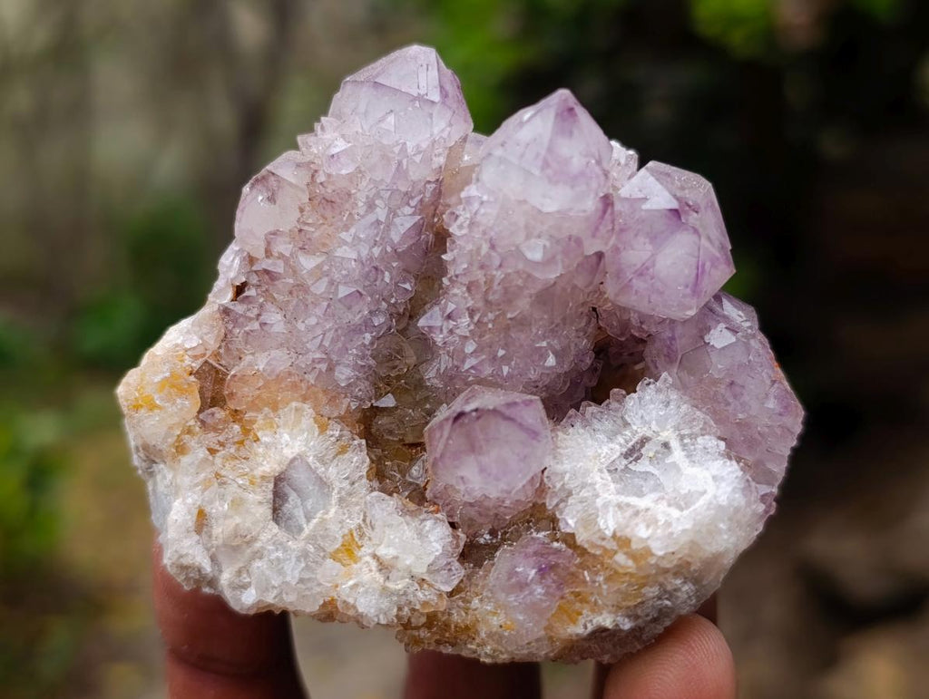 Natural Spirit Amethyst Clusters x 12 From Boekenhouthoek, South Africa