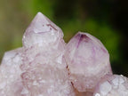 Natural Spirit Amethyst Clusters x 12 From Boekenhouthoek, South Africa