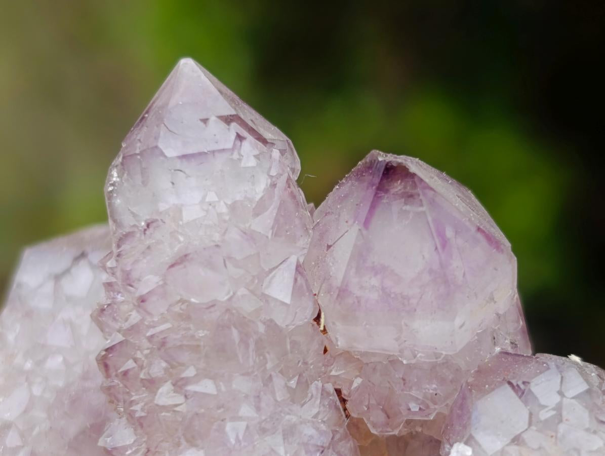 Natural Spirit Amethyst Clusters x 12 From Boekenhouthoek, South Africa