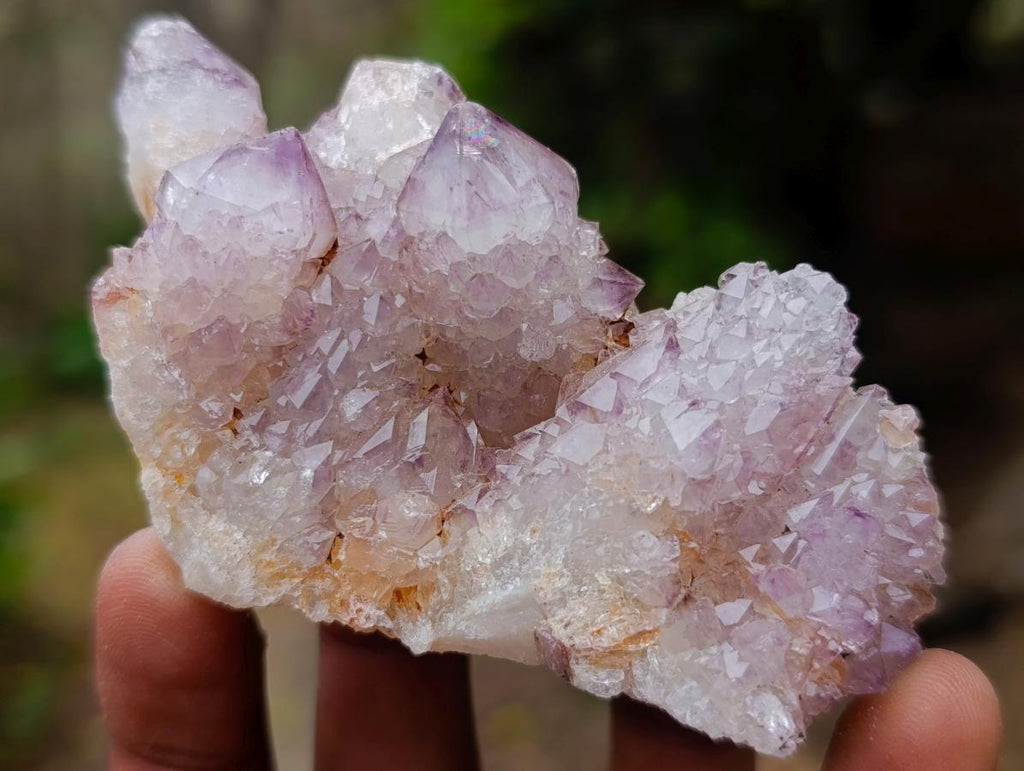 Natural Spirit Amethyst Clusters x 12 From Boekenhouthoek, South Africa