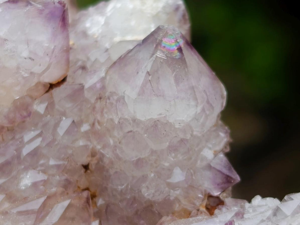 Natural Spirit Amethyst Clusters x 12 From Boekenhouthoek, South Africa