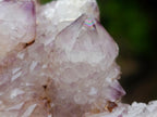 Natural Spirit Amethyst Clusters x 12 From Boekenhouthoek, South Africa