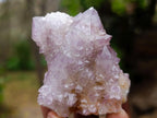 Natural Spirit Amethyst Clusters x 12 From Boekenhouthoek, South Africa