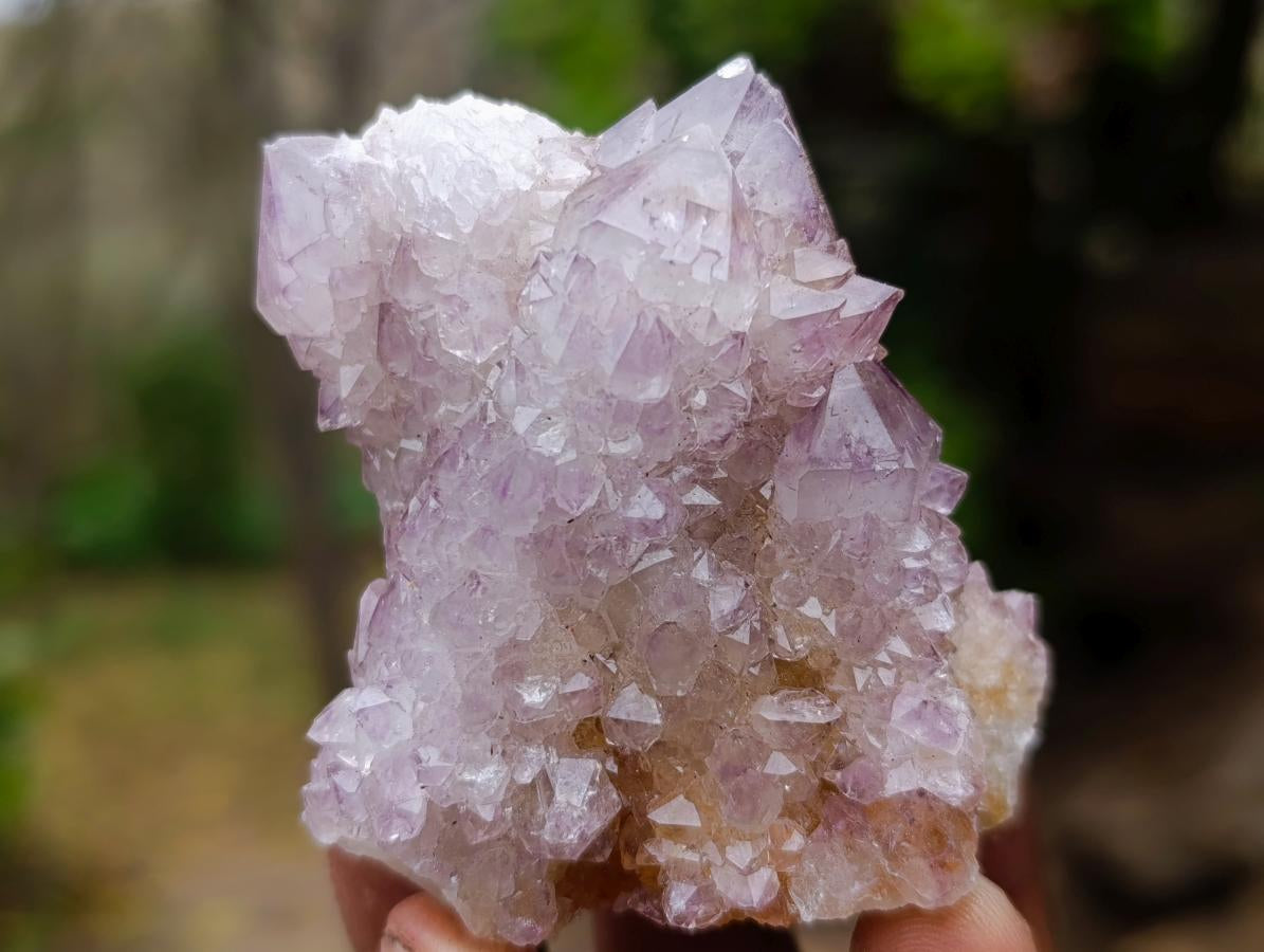 Natural Spirit Amethyst Clusters x 12 From Boekenhouthoek, South Africa