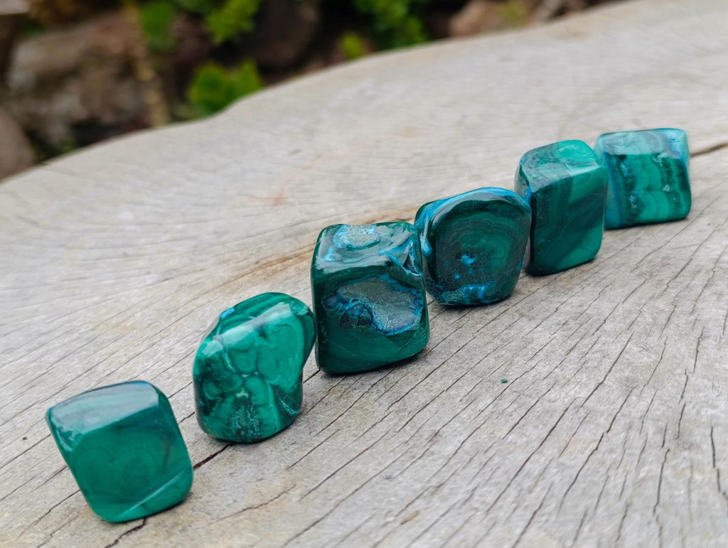 Polished Malacolla Free Forms x 35 From Kulukuluku, Congo