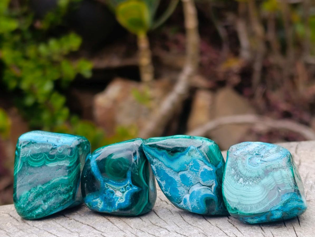 Polished Malacolla Free Forms x 35 From Kulukuluku, Congo