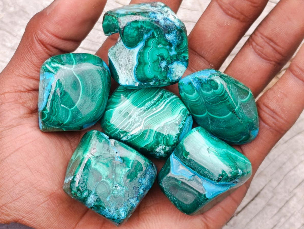 Polished Malacolla Free Forms x 35 From Kulukuluku, Congo