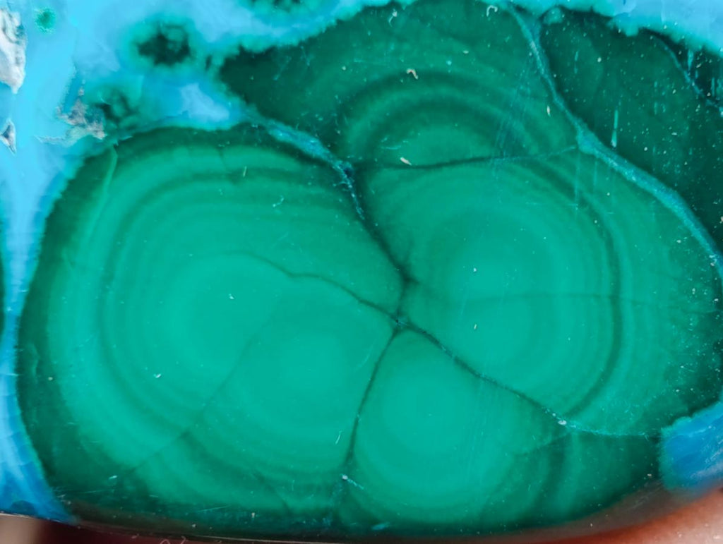 Polished Malacolla Free Forms x 35 From Kulukuluku, Congo