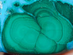 Polished Malacolla Free Forms x 35 From Kulukuluku, Congo